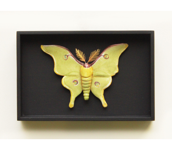 "Luna Moth" - Loralin Toney